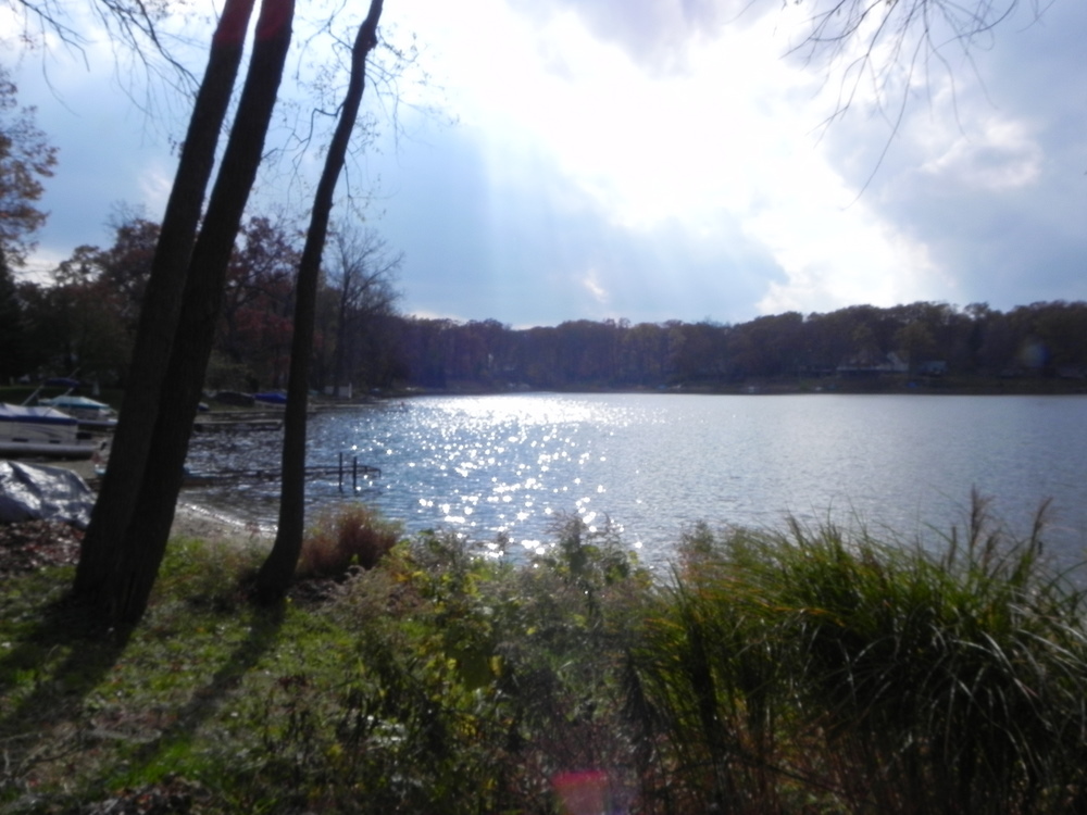 Fish Lake Rose Township MI